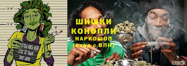 ПСИЛОЦИБИНОВЫЕ ГРИБЫ Абаза