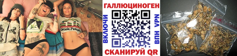 цена наркотик  Таштагол  blacksprut ссылка  Псилоцибиновые грибы Cubensis 